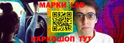 шишки Новодвинск