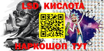шишки Новодвинск