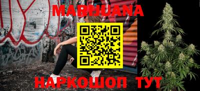 шишки Новодвинск