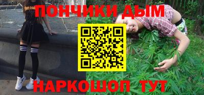 шишки Новодвинск
