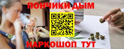 шишки Новодвинск