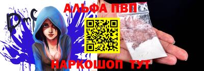 шишки Новодвинск