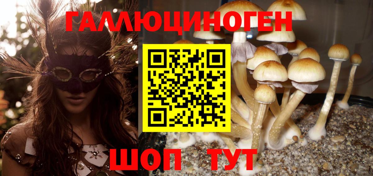 Галлюциногенные грибы мухоморы  сколько стоит  Светлоград  Вход с VPN 